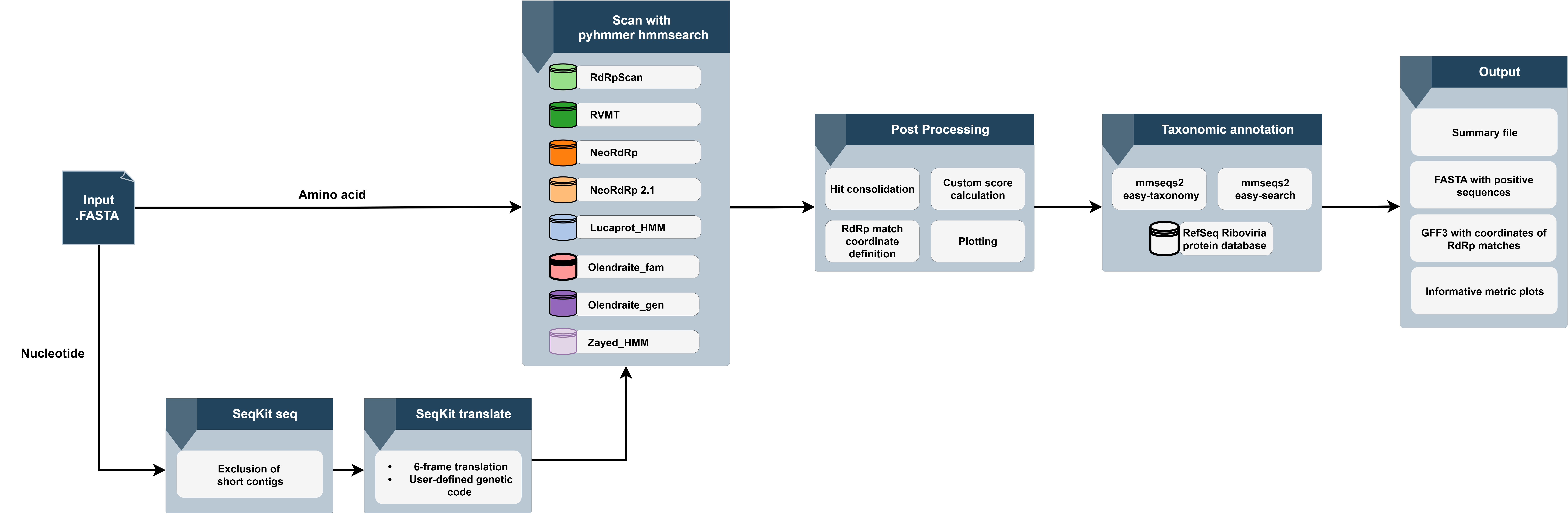 RdRpCATCH Workflow Diagram